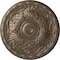 Ekena Millwork Amelia Ceiling Medallion (Fits Canopies up to 4 1/8"), Hand-Painted Warm Silver, 15 3/4"OD x 5/8"P CM16AMWSS - alternate 1